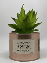 Artificial Succulent in Decorative Tin Pot